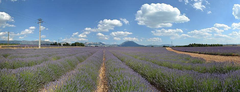 DSC 3204 Panorama