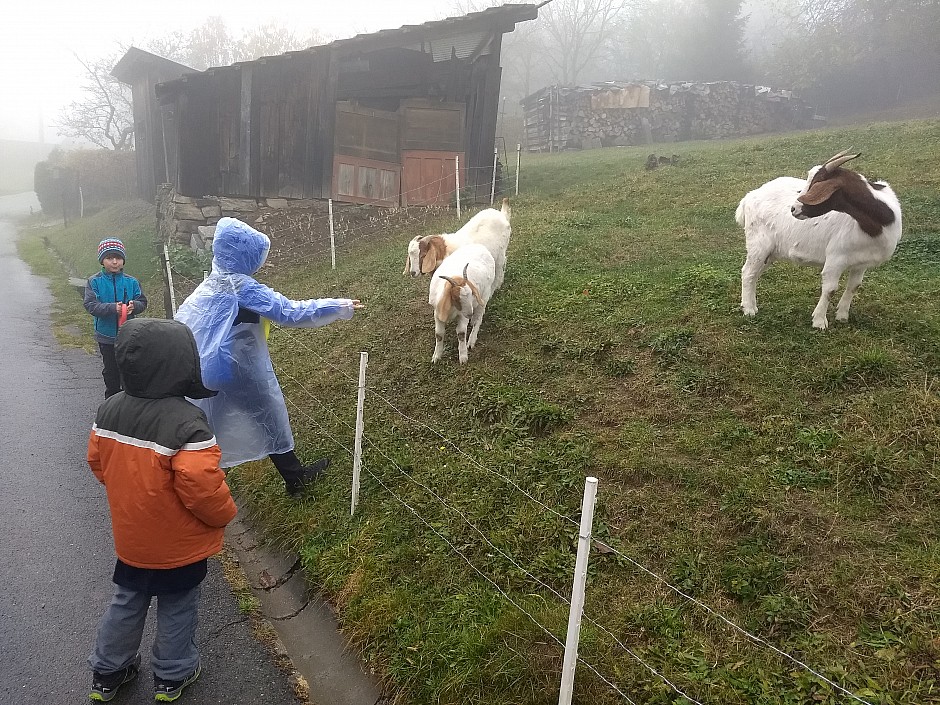 PULČINY, VSETÍN - PODZIM. PUŤÁČEK (58)