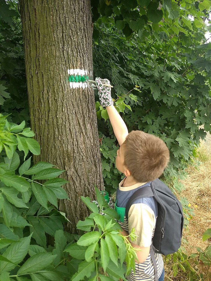 značení zelené Bobrovníky - Hlučín - Dobroslavice (14)