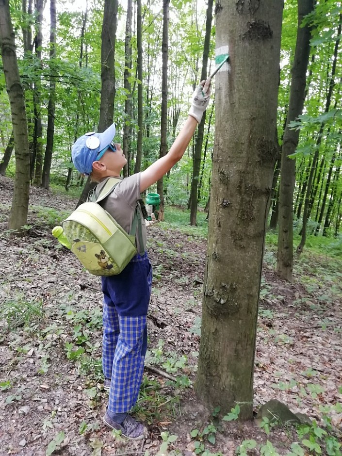 značení zelené Bobrovníky - Hlučín - Dobroslavice (7)