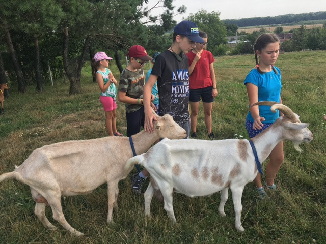 Letní kempík Cesty (9)