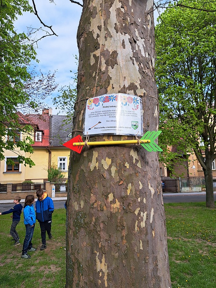 Hopův šíp (19)