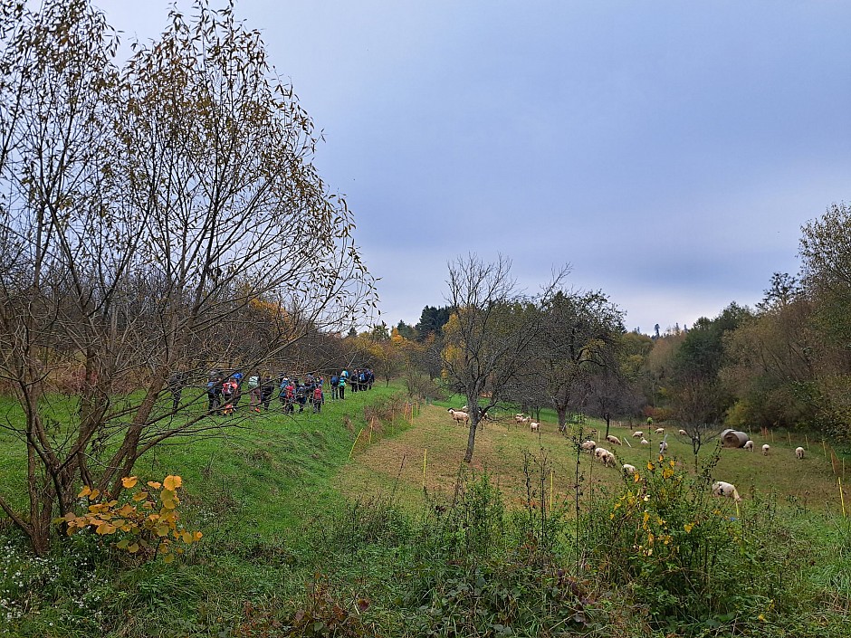 Puťák Valašsko Karpaty (1)