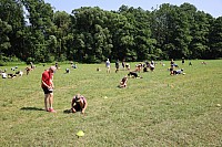 IMG 4568