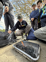 IMG 4336