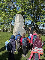IMG 4371
