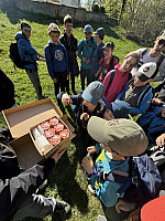 IMG 4377