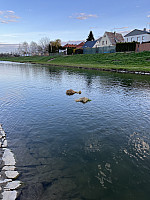 IMG 6316