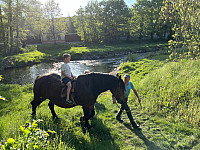 IMG 6447