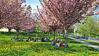Schůzka u skautů a piknik - HV 2025